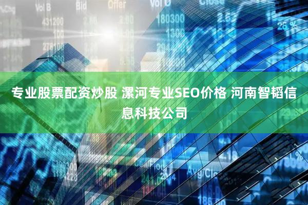 专业股票配资炒股 漯河专业SEO价格 河南智韬信息科技公司